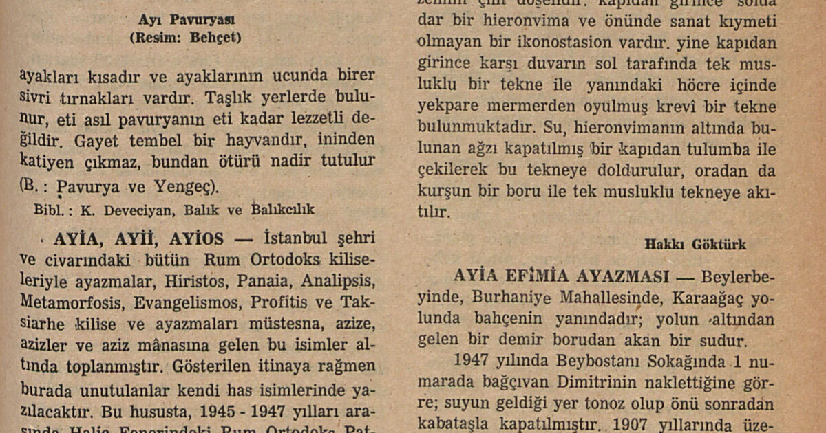 Istanbul Encyclopedia: AYİA, AYİİ, AYİOS